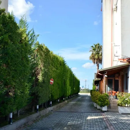 Bardhi Kucove